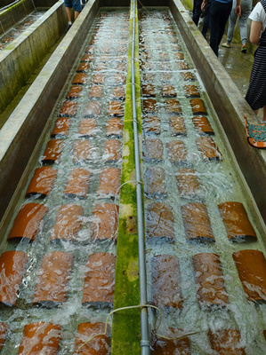 尋山集團科技創(chuàng)新助力&ldquo;海上糧倉&rdquo;_河北新聞網