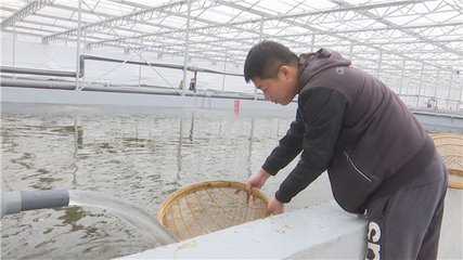 【落實市委全會精神 加快高質(zhì)量發(fā)展】以產(chǎn)業(yè)興旺為抓手 以項目建設(shè)為引領(lǐng) 推動農(nóng)業(yè)產(chǎn)業(yè)提質(zhì)增效