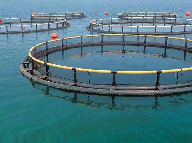 高考放榜!大廠大裁員,水產(chǎn)企業(yè)瘋狂搶人!年薪百萬不是夢!填志愿別錯過了水產(chǎn)專業(yè)