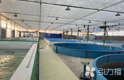蘇州新增6家水產類省級特色優勢種苗中心