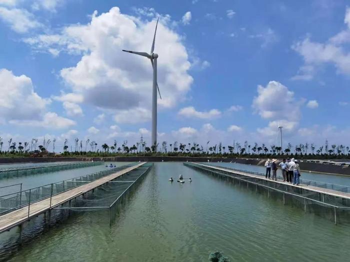 18000多畝標準化養殖池塘,專注高品質草魚、鯽魚、鮰魚養殖!現代化水產養殖企業誠邀技術員