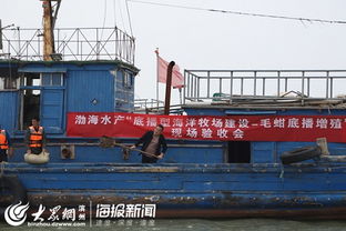 渤海水產(chǎn) 濱州 毛蚶苗種規(guī)?；虚g培育與底播增殖通過專家現(xiàn)場驗收