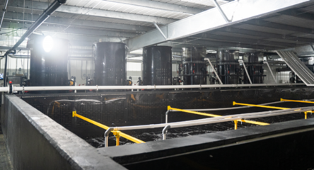 全球人均每年消費41斤魚類:漁業(yè)如何可持續(xù)發(fā)展?看海璟水產(chǎn)如何做