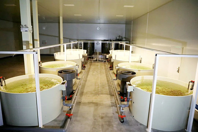 楊凌:&ldquo;海鮮陸養&rdquo;技術推動水產養殖新革命