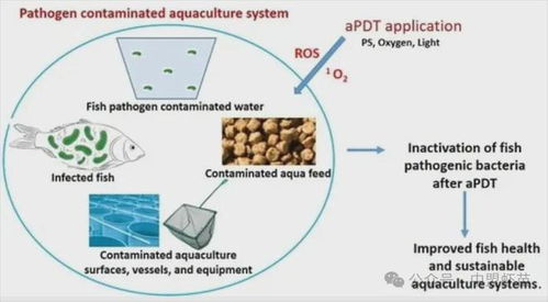 水產(chǎn)養(yǎng)殖出新利器 這項新技術(shù),能夠改變整個養(yǎng)殖行業(yè)嗎