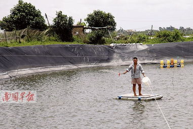 16日焦點圖 文惠路南端綠化帶塌陷