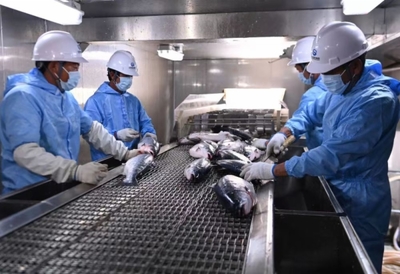 山東省人民政府國有資產監督管理委員會