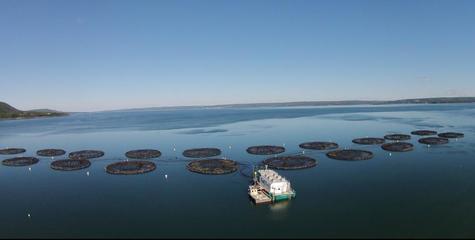 福建國際朋友圈之美洲篇--走進&ldquo;加拿大海洋游樂場&rdquo;新斯科舍省