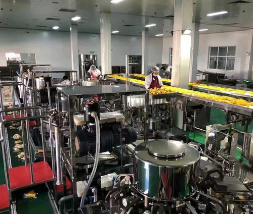 中共吉林省委金融委員會(huì)辦公室 吉林省地方金融管理局