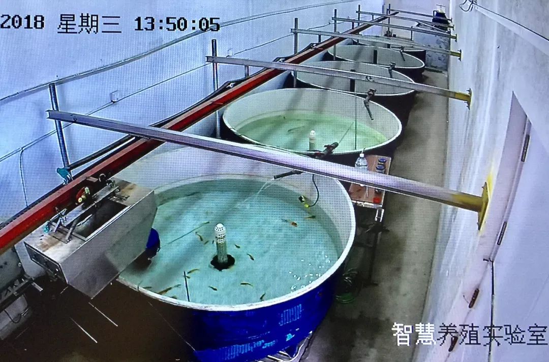 全國(guó)媒體看煙臺(tái)!海洋強(qiáng)市的&ldquo;煙臺(tái)范兒&rdquo;占據(jù)頭條!