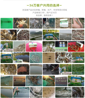 益生菌養蝦技術就用農富康水產em養殖益生菌