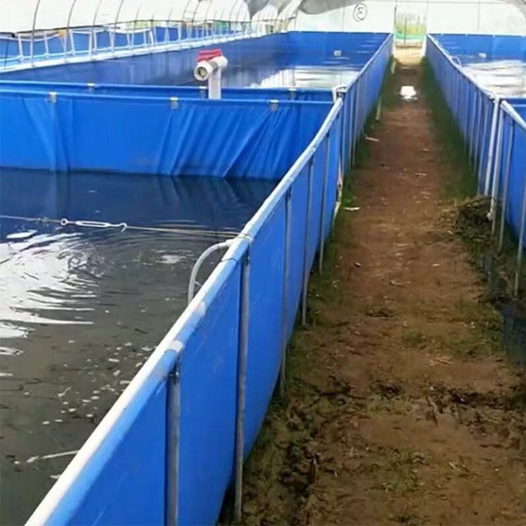 水產養殖帆布池 定制化解決方案助力高效養魚蝦與水蛭