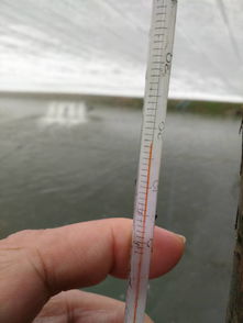 珠海農(nóng)發(fā)中心深入基層，科學開展水產(chǎn)養(yǎng)殖防寒減災工作