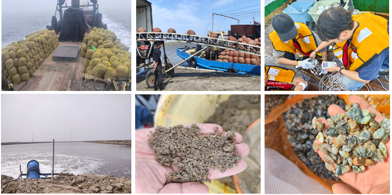 科技創(chuàng)新驅(qū)動(dòng)水產(chǎn)養(yǎng)殖業(yè)高質(zhì)量發(fā)展——我校兩項(xiàng)科技成果榮獲中國水產(chǎn)學(xué)會(huì)范蠡科學(xué)技術(shù)獎(jiǎng)